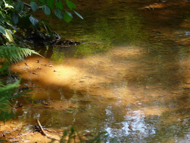 photo8.jpg